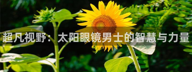 卧龙休闲娱乐优惠活动