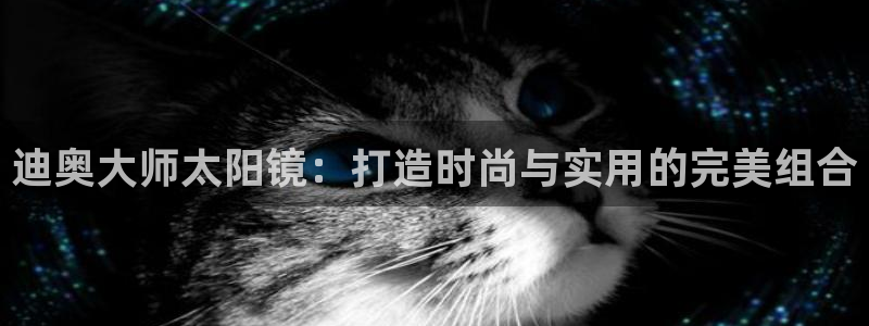 卧龙2神机娱乐
