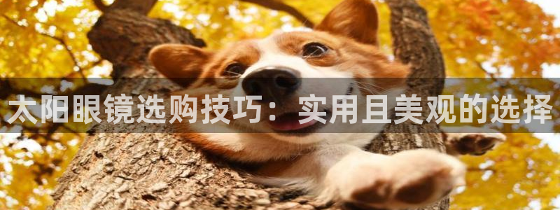 卧龙娱乐彩票官网下载