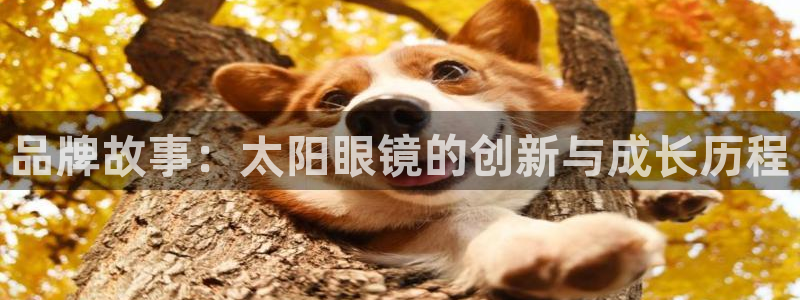 卧龙湖娱乐设施