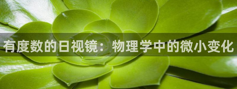 娱乐聚焦卧龙凤雏