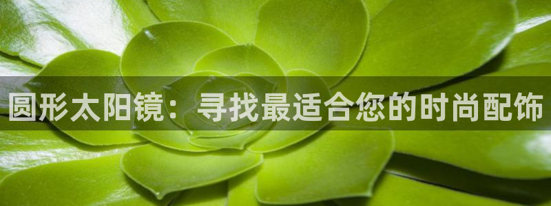 卧龙娱乐开户