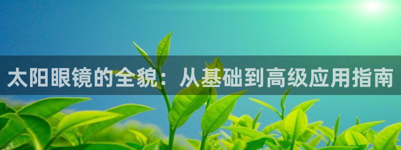 卧龙娱乐招商代理
