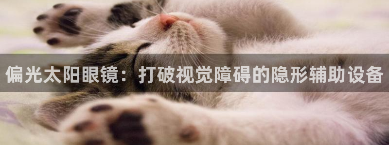 卧龙娱乐在线直播网