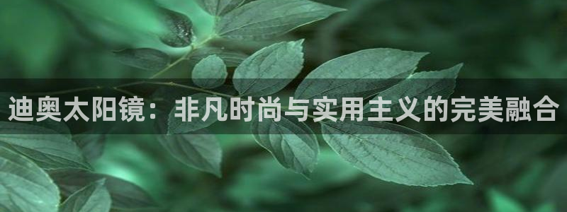 柏林娱乐- 0 卧龙