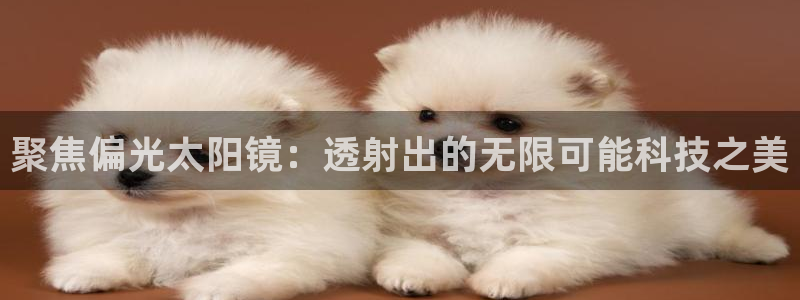 卧龙娱乐彩票app