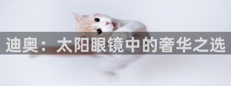卧龙娱乐右7O667