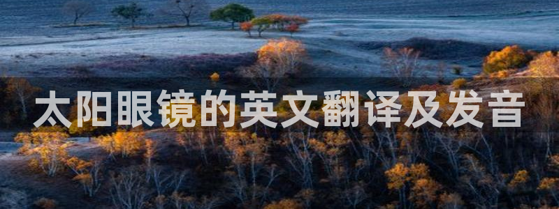 卧龙ktv娱乐会所地址