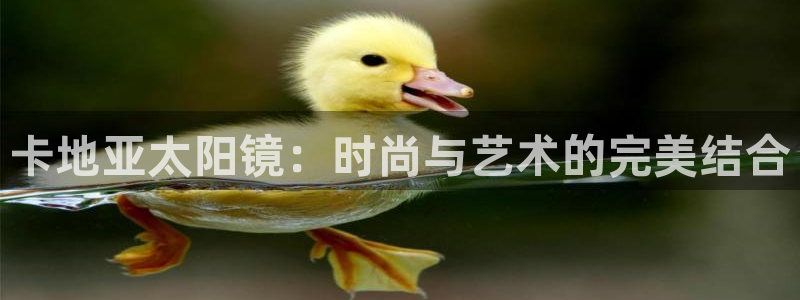 卧龙儿童娱乐海洋球