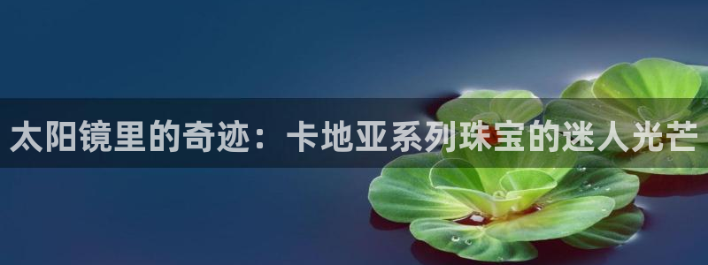 卧龙娱乐场所