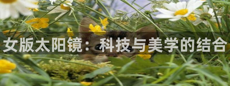 卧龙凤雏娱乐资讯