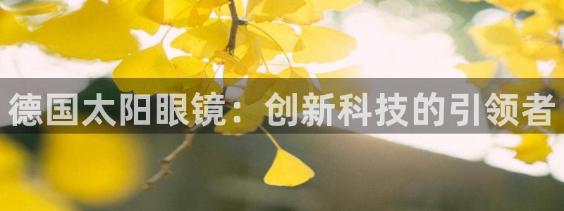卧龙娱乐气垫项目投资