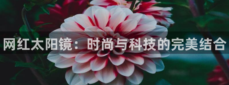 厦门卧龙台球娱乐会所