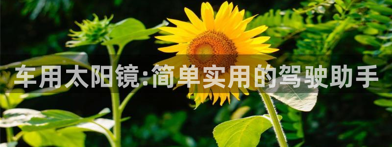 卧龙谷娱乐