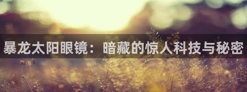 卧龙天尊国际娱乐会所