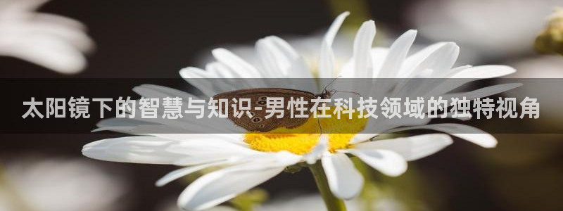 卧龙娱乐招商