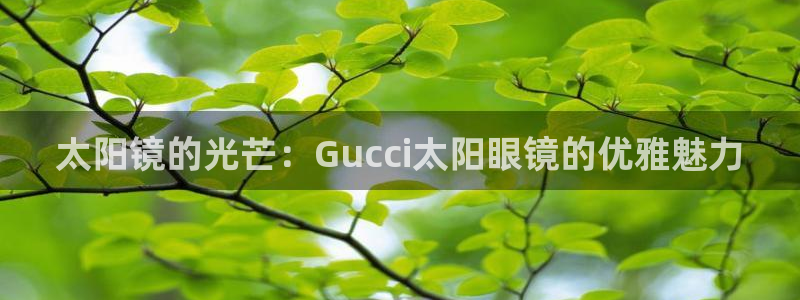 HR娱乐卧龙主管60447