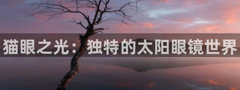 卧龙娱乐挂机平台有哪些