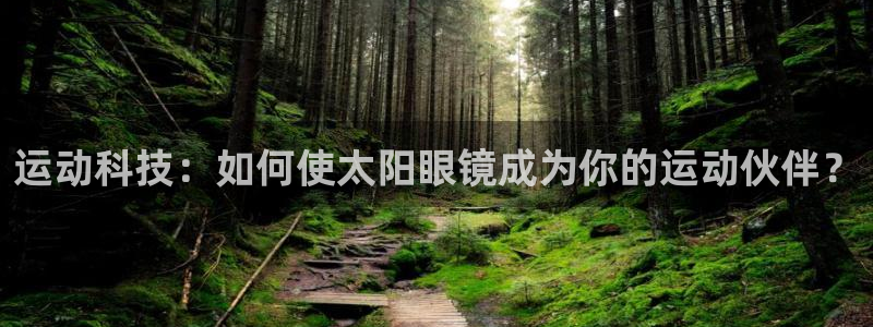 卧龙镇娱乐