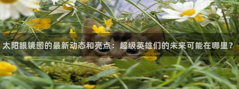 卧龙娱乐主管是谁