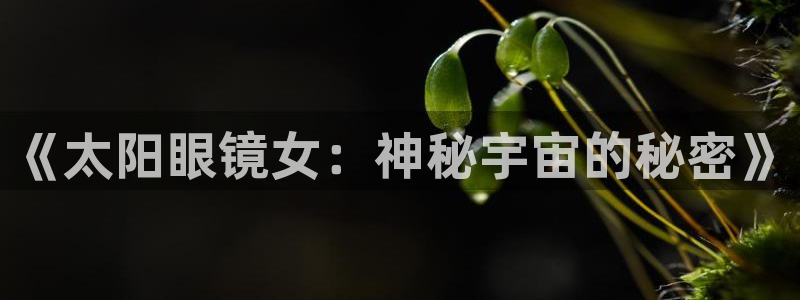 卧龙湾娱乐区