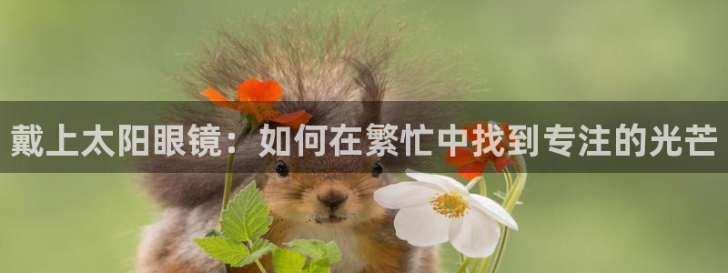 卧龙娱乐在线直播