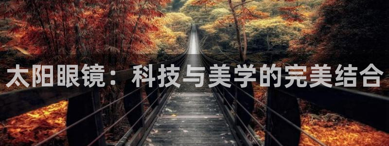 卧龙凤雏娱乐资讯