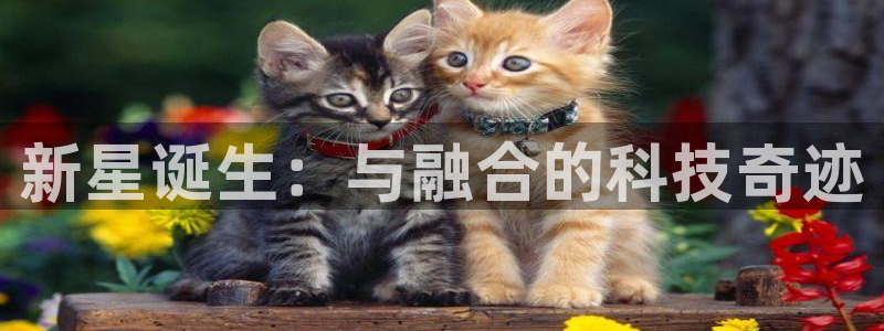 观海卧龙娱乐