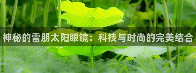 卧龙娱乐在线直播观看