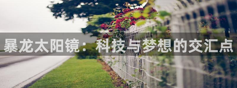 卧龙娱乐下