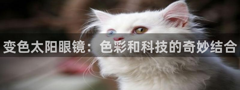 卧龙娱乐怎样