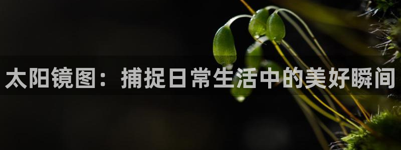 娱乐小卧龙