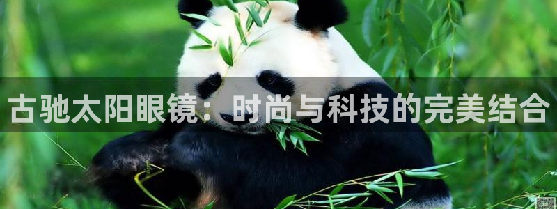 卧龙娱乐app彩票