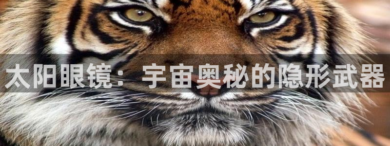 卧龙娱乐挂机软件