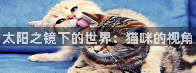 卧龙娱乐彩票官网直播