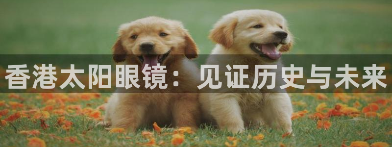 卧龙娱乐主管招聘信息