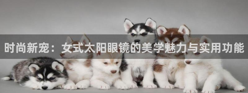 南阳卧龙娱乐厂招聘