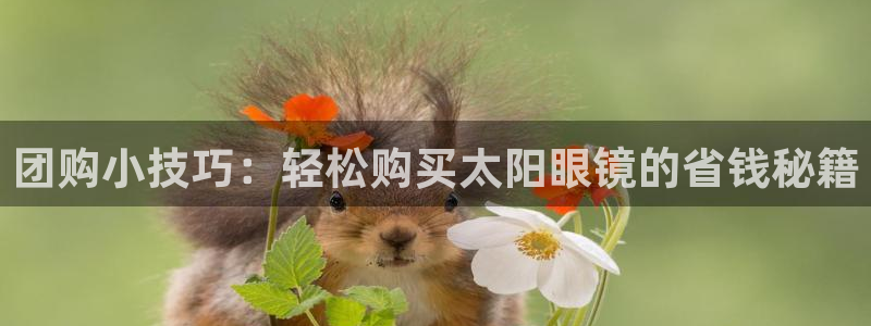 杏耀娱乐卧龙60447