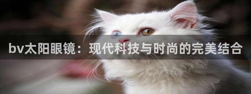 卧龙娱乐挂机软件下载