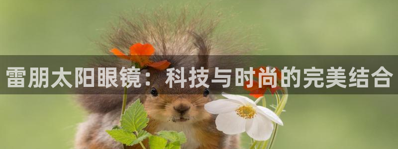 卧龙娱乐老板是谁呀视频