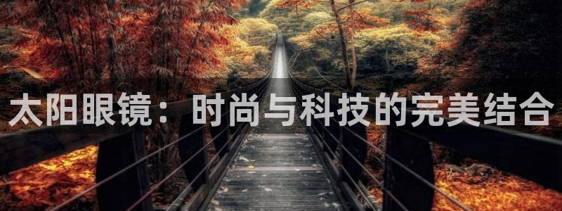 卧龙区维也纳娱乐会所