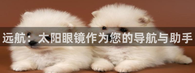 卧龙公园的娱乐项目