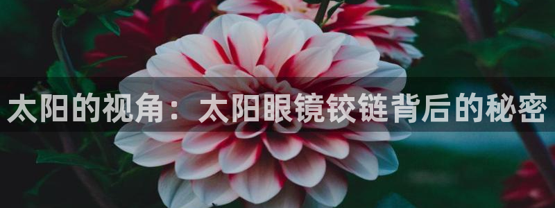 卧龙娱乐拆卡攻略