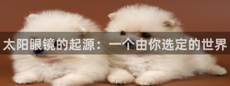 卧龙娱乐在线直播网页