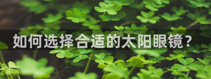 卧龙凤雏娱乐 小辣椒