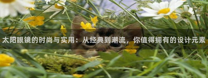 南阳卧龙岗景区娱乐项目