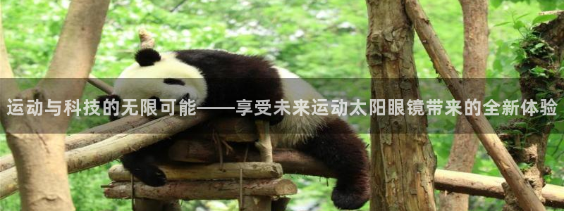 卧龙娱乐挂机平台官网