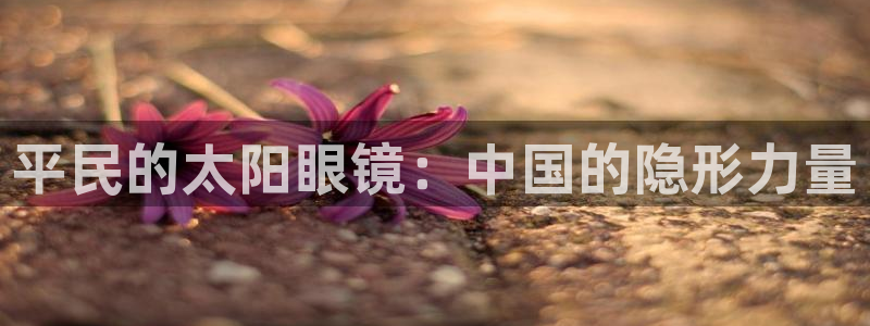 卧龙凤雏娱乐图