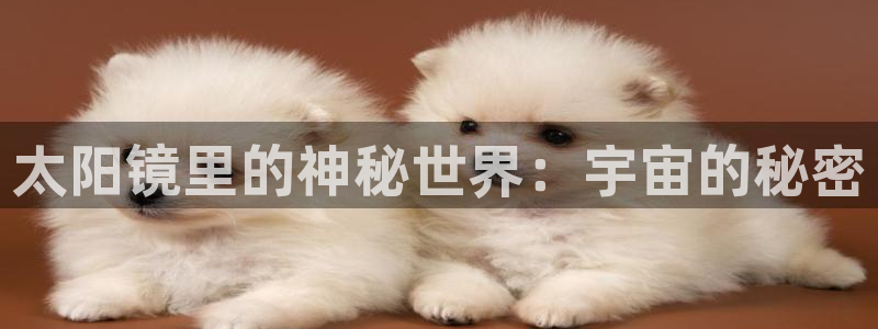 卧龙传统娱乐团购