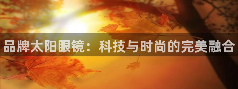 hr娱乐 卧龙主管60447